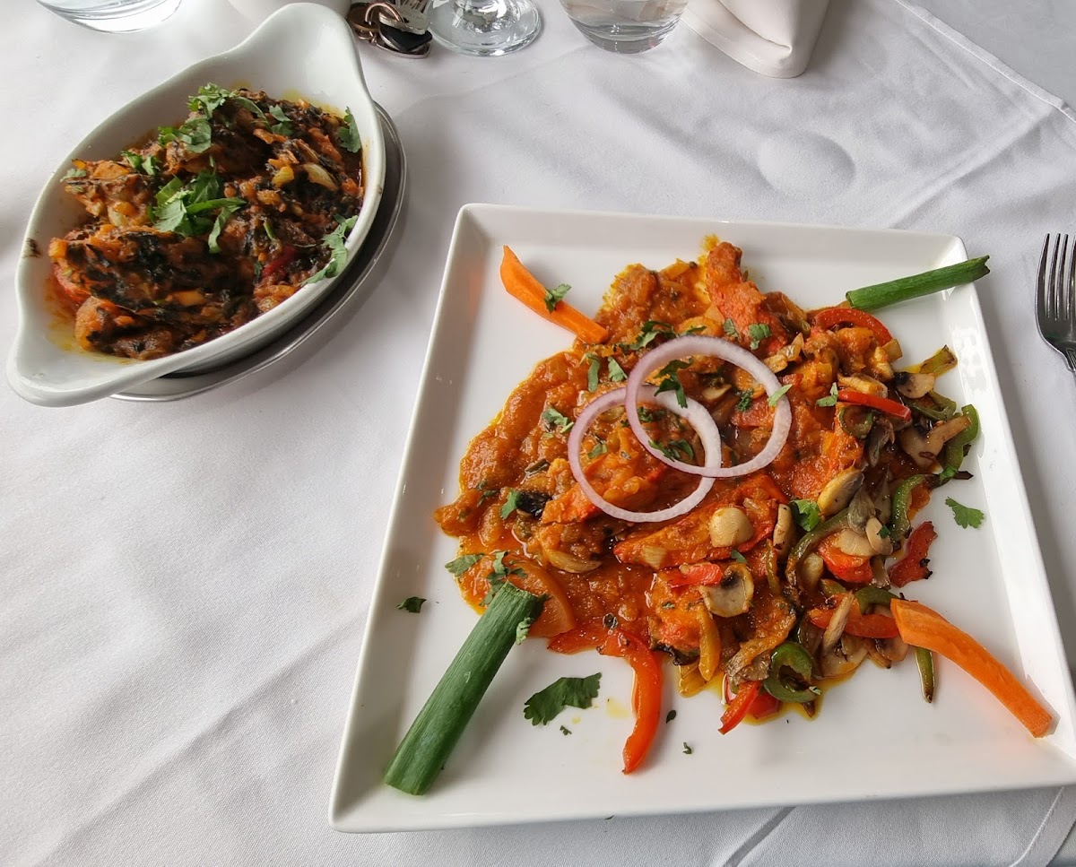 Indian Chef Photos 2